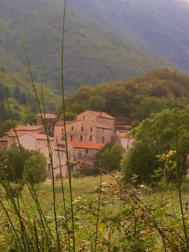 Grande Maison Cevenole Authentique Valleraugue Exterior photo